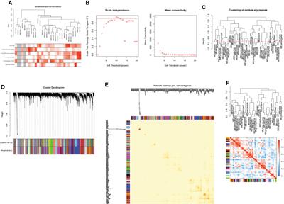 Identification of biomarkers associated with CD8+ T cells in rheumatoid arthritis and their pan-cancer analysis